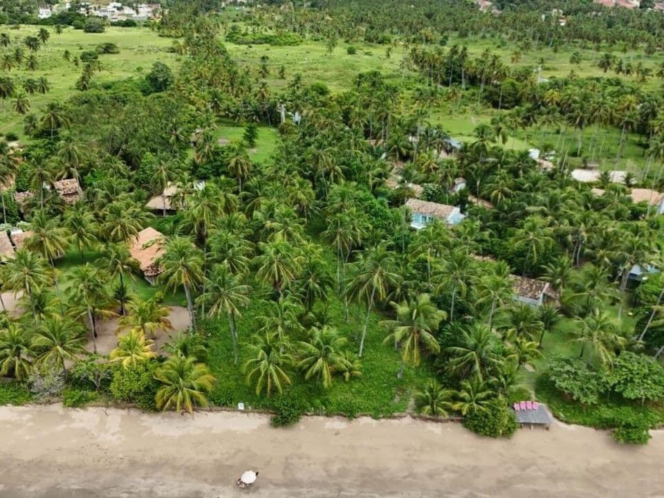 Terreno em Porto de Pedras/AL à Venda (TE0183-PV)