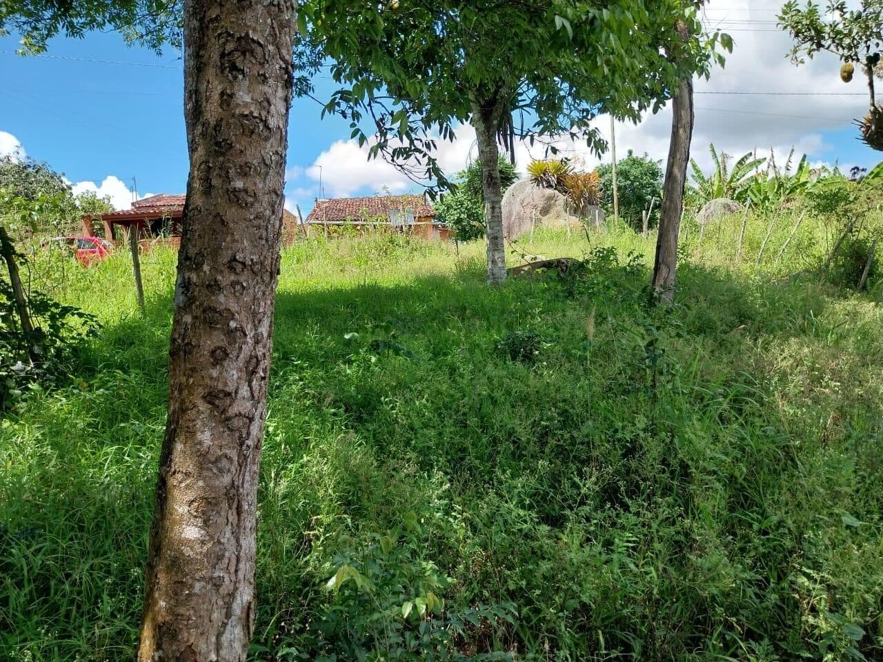 Terreno em Bezerros/PE à Venda (TE0289-DV)
