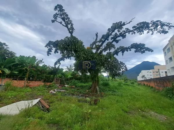 Lote/Terreno em Palhoça - Aririú da Formiga