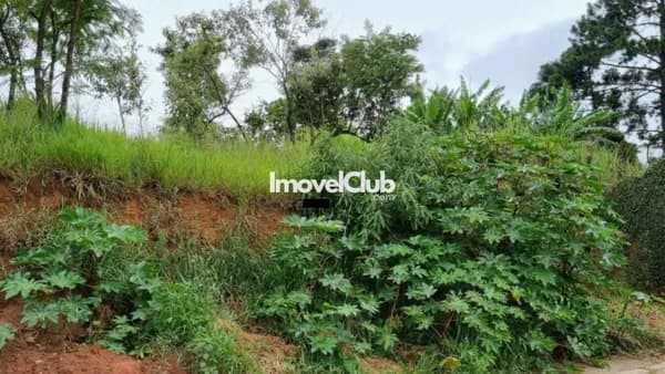 Terreno em Condomínio de Chácaras com ótima topografia e ótima localização