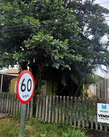 Área portuária