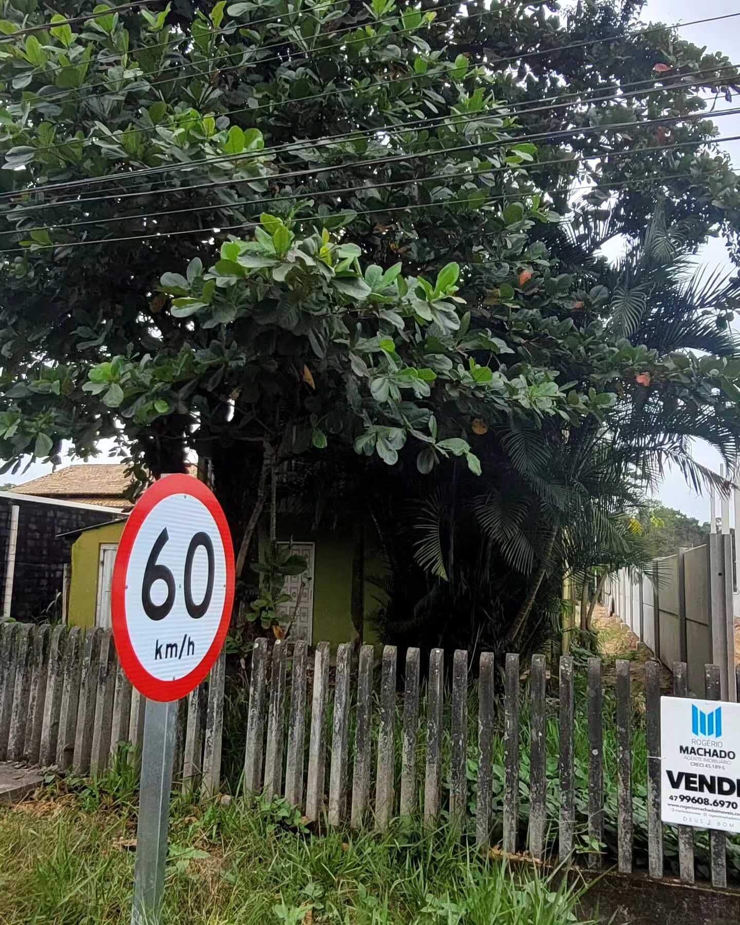 Área portuária