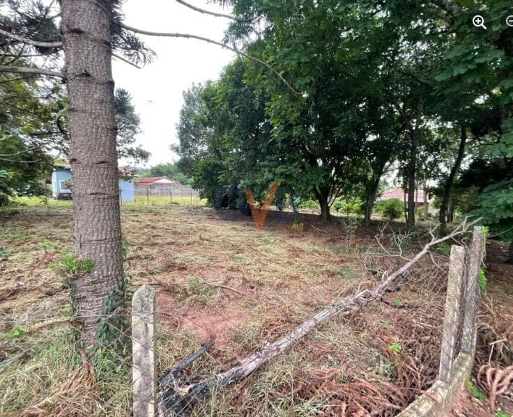 Terreno em Nova São Pedro, São Pedro/SP