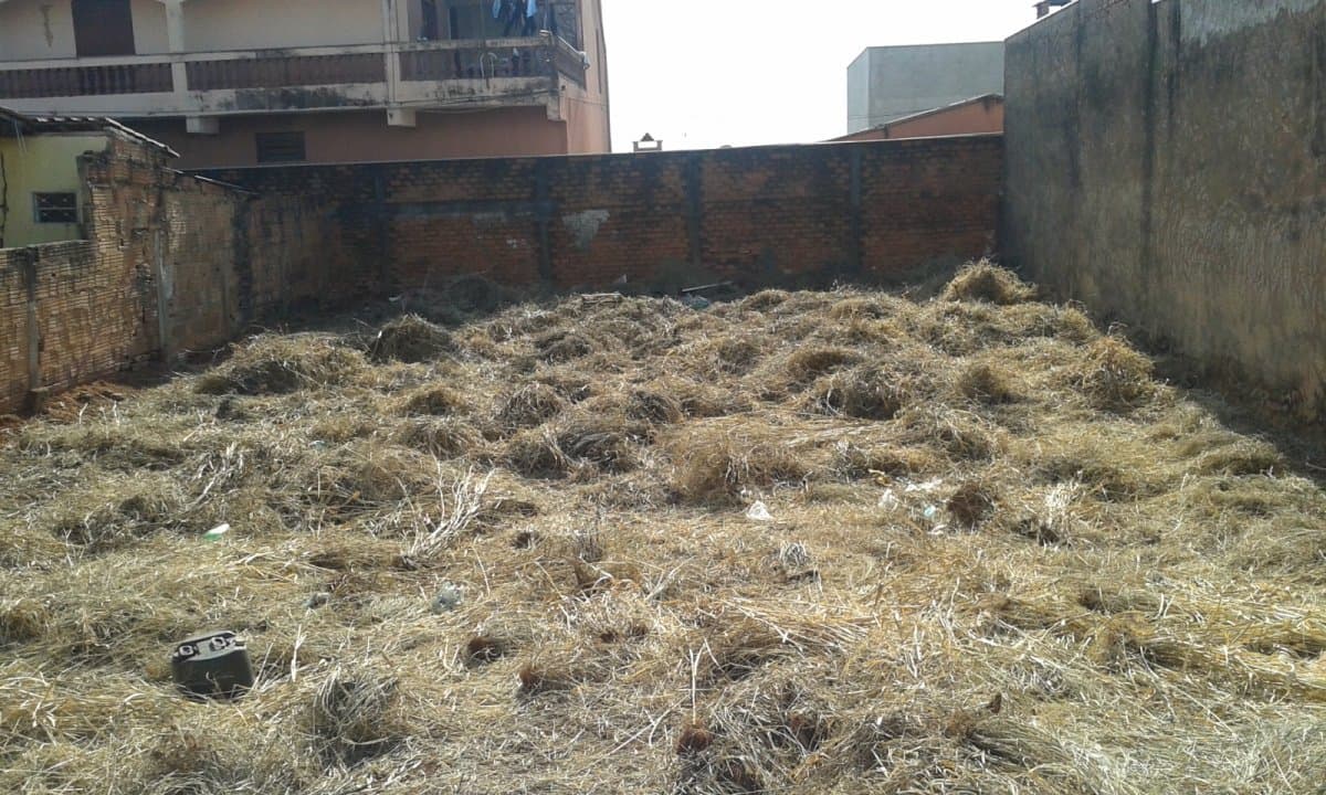 Terreno Lote para Venda