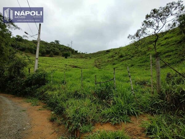 Lote/Terreno em Cataguases - Primavera