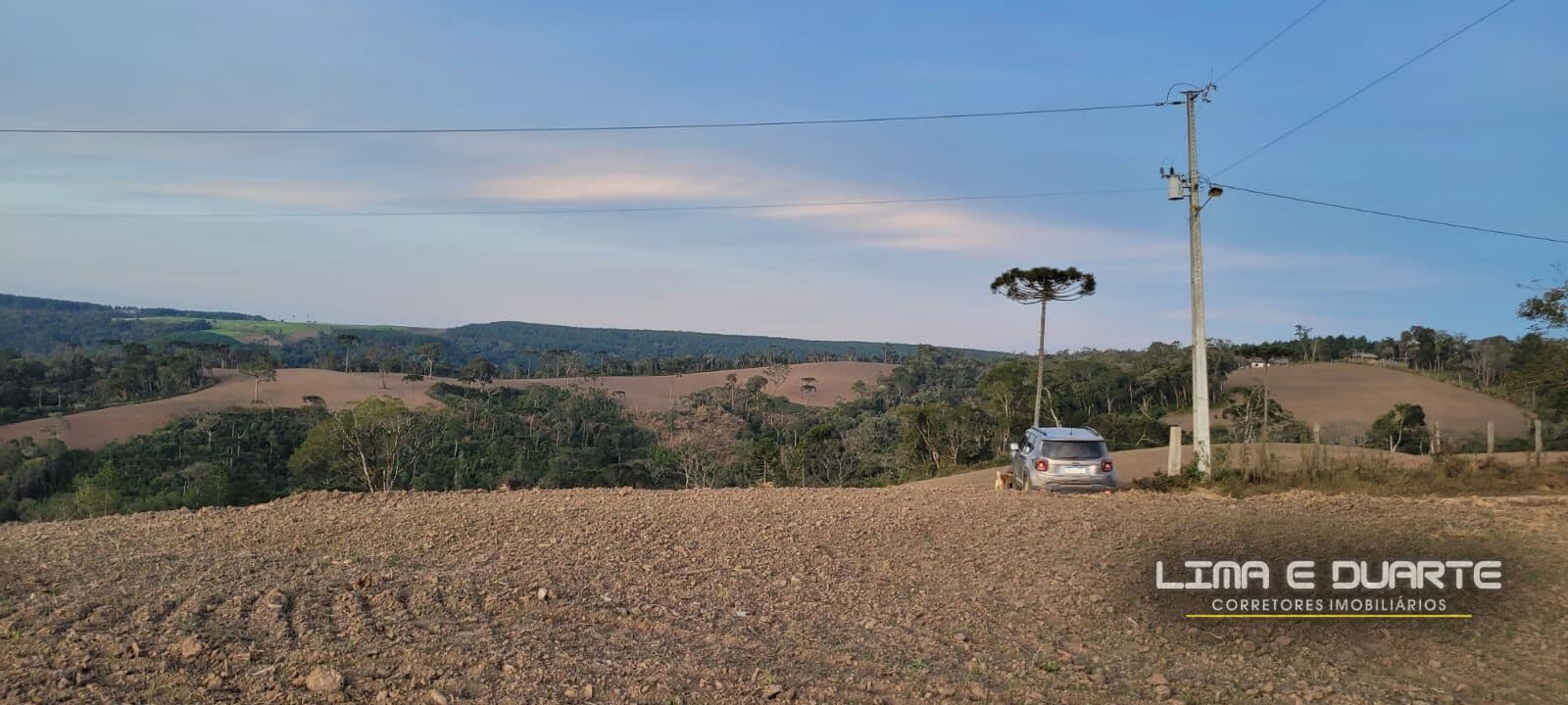 Fazenda c/ 38,35 Alqueires -Loc. Rio dos Bugres - Rio Negrinho/SC