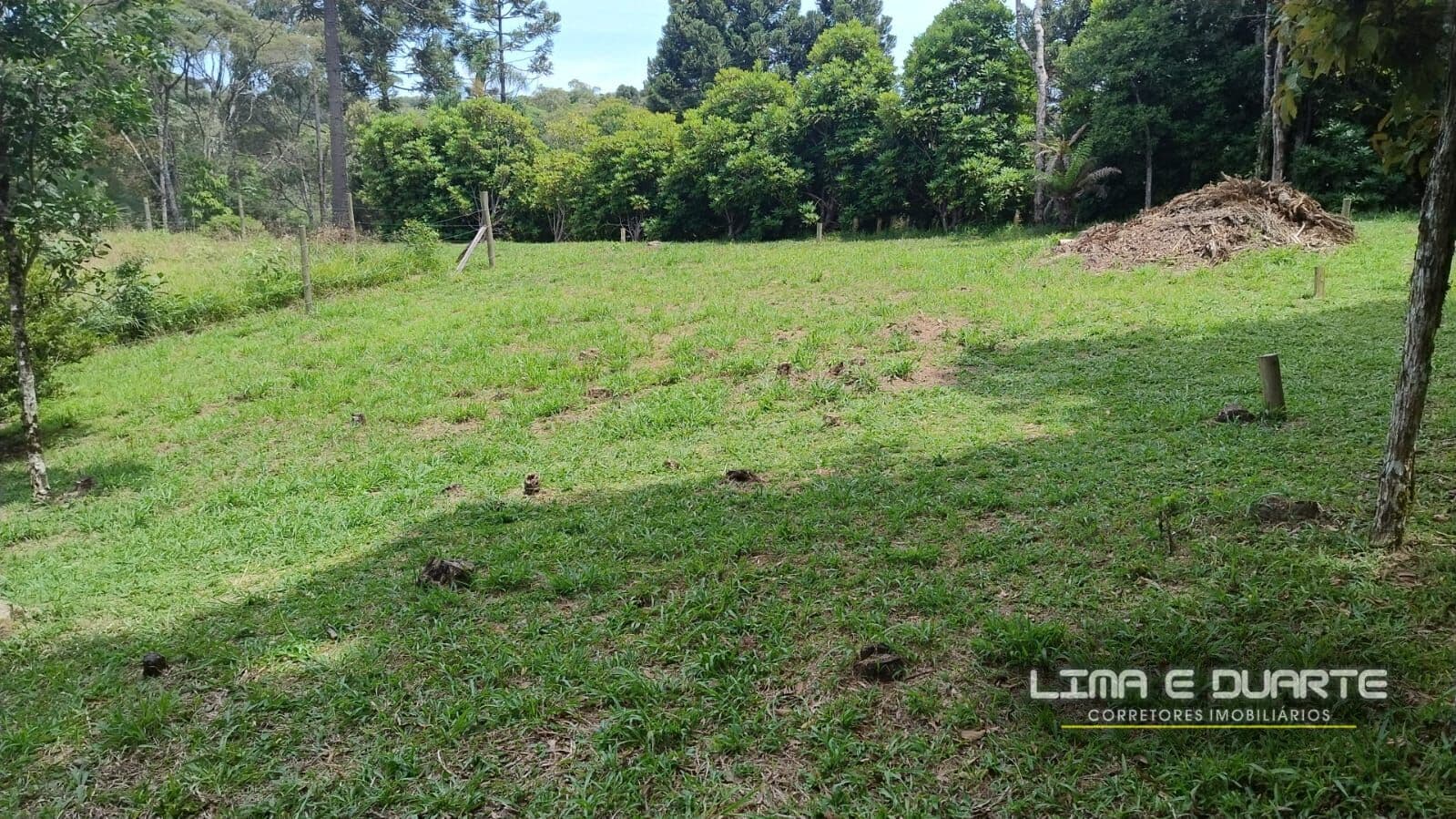 Terreno plano c/ área de 469,18 m2 - B. Brasília - São Bento do Sul