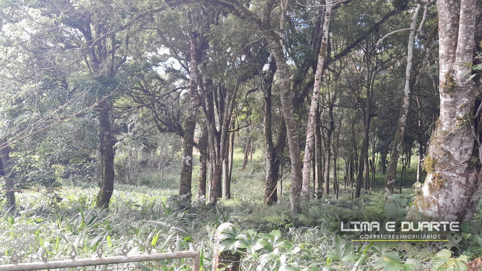 Chácara com área de 7.310,00 m2 - B. Bela Aliança