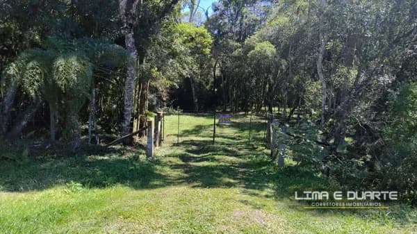 Chácara c/ 11.020 m2 - Frente para Rodovia PR-420 - B. Trigolândia / Piên - PR