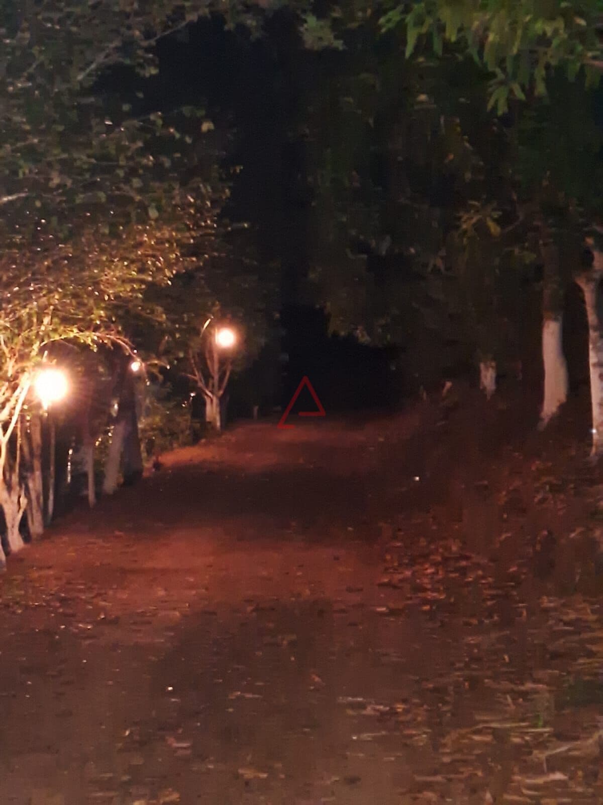 Sítio à Venda, 5.5 alqueires, em Tamarana - PR