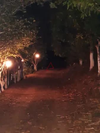 Sítio à Venda, 5.5 alqueires, em Tamarana - PR
