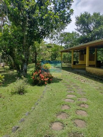 Chácara | Árvores Frutíferas | Vatrapua | Peruibe | SP