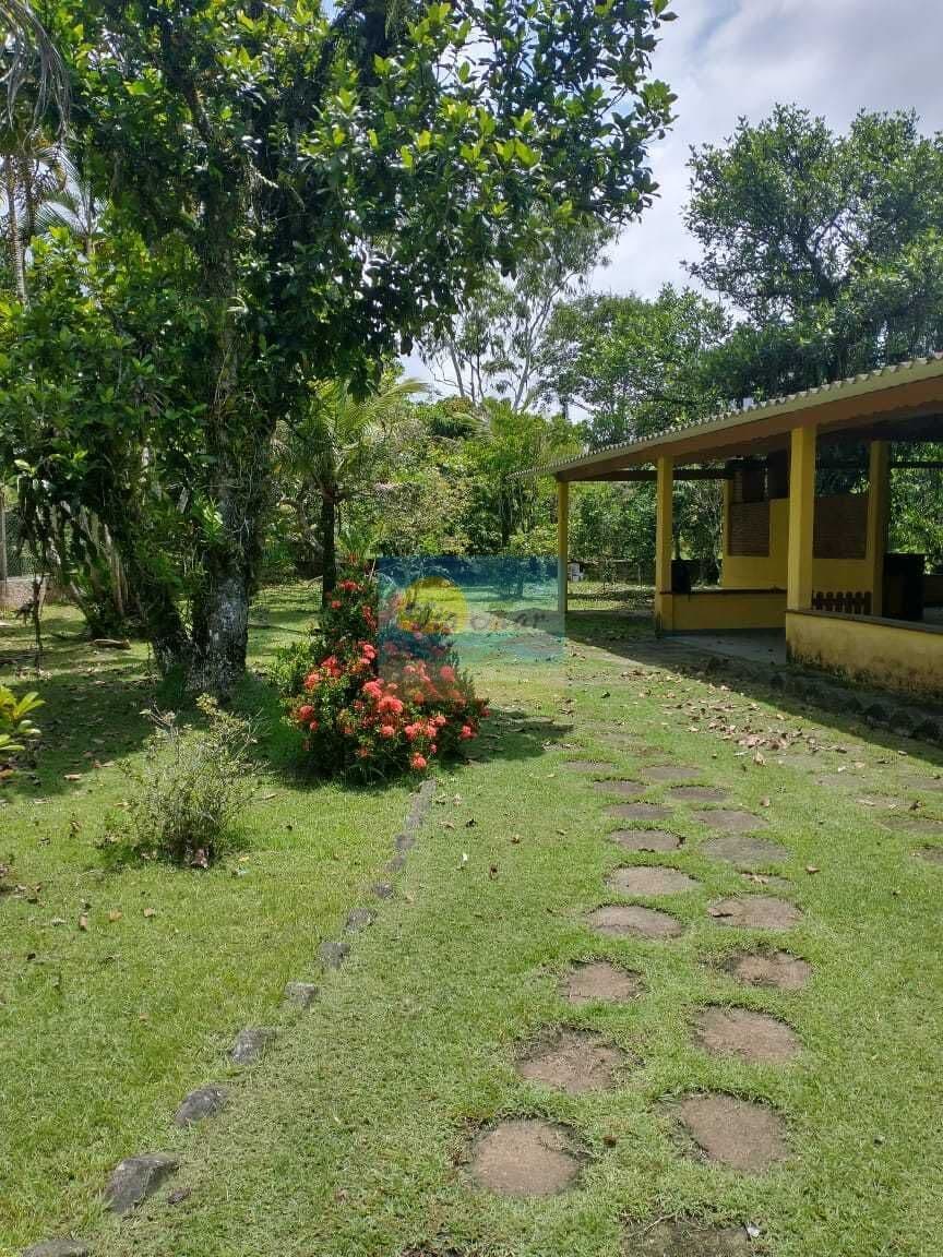 Chácara | Árvores Frutíferas | Vatrapua | Peruibe | SP