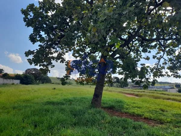 Lote bem localizado no bairro Morada dos Angicos - Pedro Leopoldo/MG