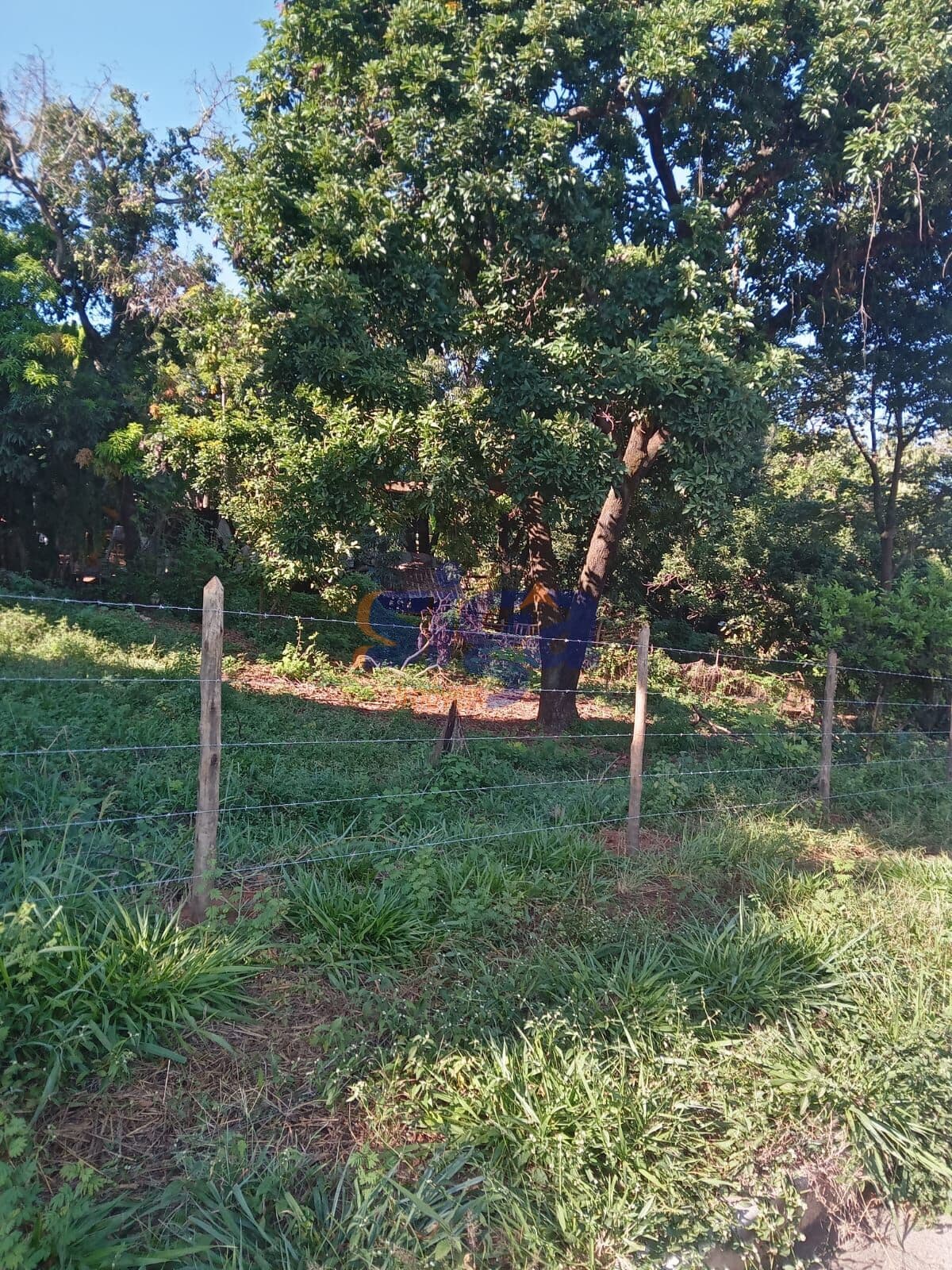 Terreno Amplo e bem localizado