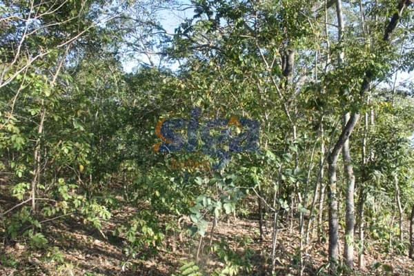 Terreno bem localizado em Jaboticatubas/MG