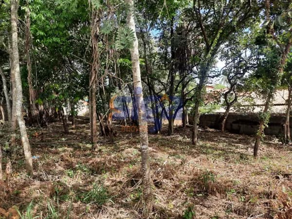 Lote de 1000m² para construir seu sonho