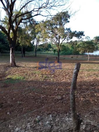 Lote/Terreno em Pedro Leopoldo - Lagoa de Santo Antonio