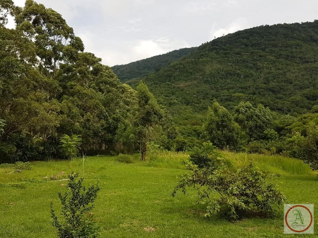Fazenda/Sítios/Chácaras em Florianópolis - São João do Rio Vermelho