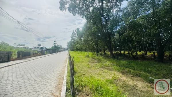 Lote/Terreno em Florianópolis - São João do Rio Vermelho