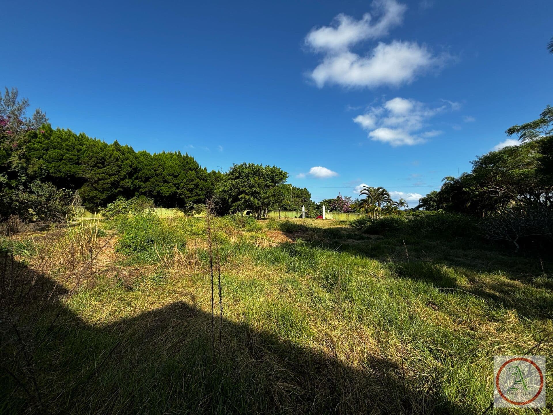 Lote/Terreno em Florianópolis - São João do Rio Vermelho