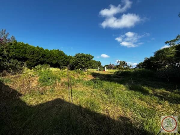 Lote/Terreno em Florianópolis - São João do Rio Vermelho
