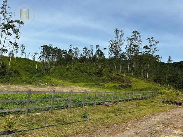 Fazenda/Sítios/Chácaras em Turvo - Morro Chato