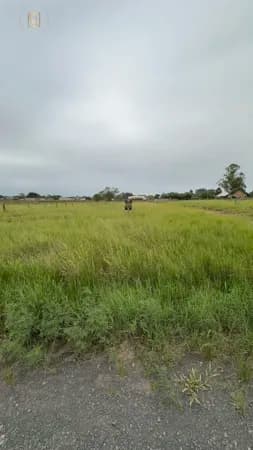 Lote/Terreno em Araranguá - Lagoa da Serra