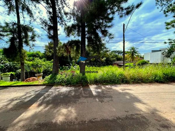 Vende-se Terreno plano com excelente Localização no bairro São José em Colorado do Oeste/RO