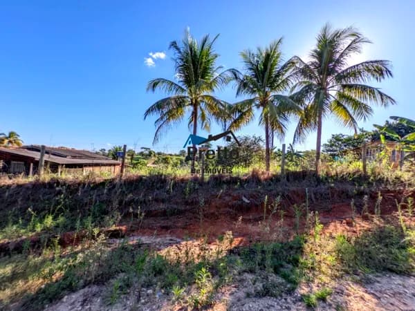 Vende-se Terreno Inteiro e Escriturado, próximo do Asfalto, Localizado no bairro Mato Grosso em Colorado do Oeste/RO