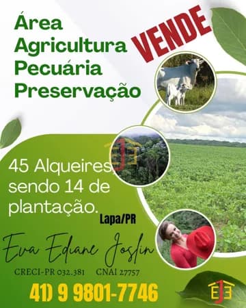 Fazenda Lavoura em Centro, Lapa/PR