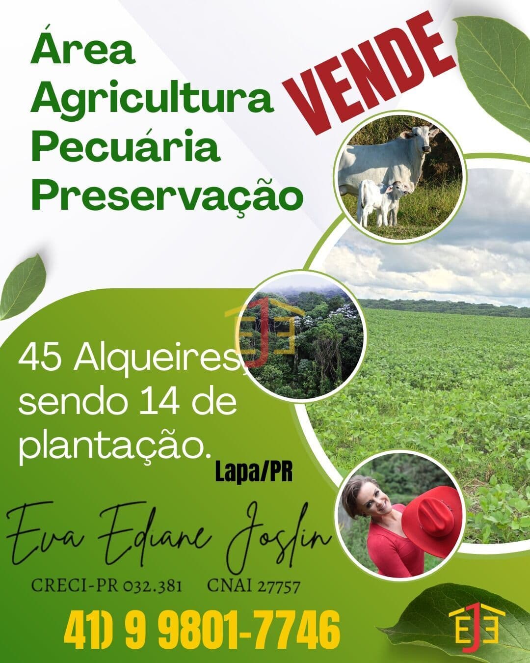 Fazenda Lavoura em Centro, Lapa/PR