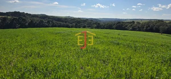 Fazenda/Sítios/Chácaras em Lapa - Centro