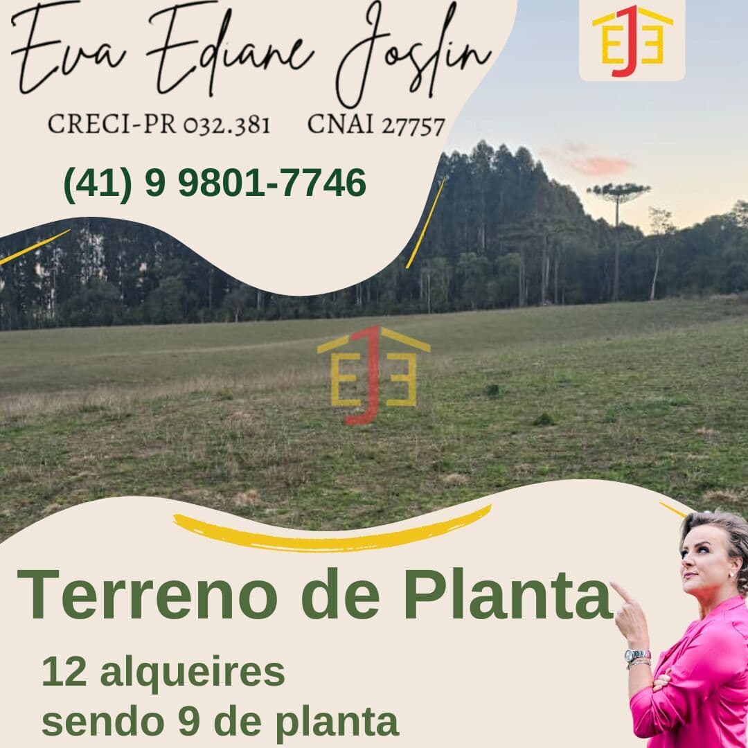 Área Rural em Centro, Porto Amazonas/PR
