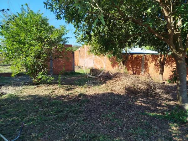 Lote/Terreno em Pereira Barreto - Área Rural de Pereirra Barreto