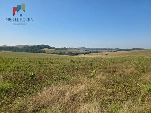 Fazenda para arrendamento para grãos Região Sorocaba