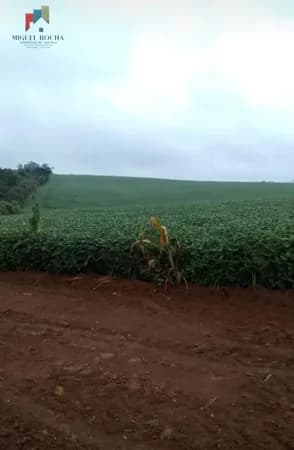 Fazenda região Itapetininga SP