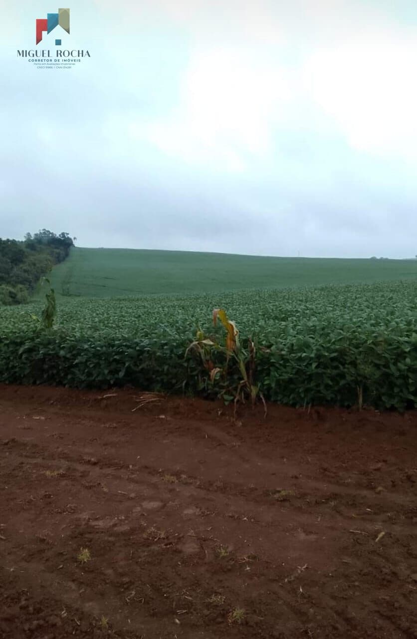 Fazenda região Itapetininga SP