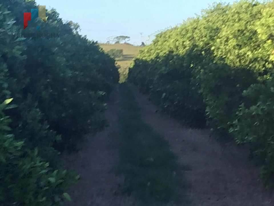 Fazenda/Sítios/Chácaras em Tatuí - Centro