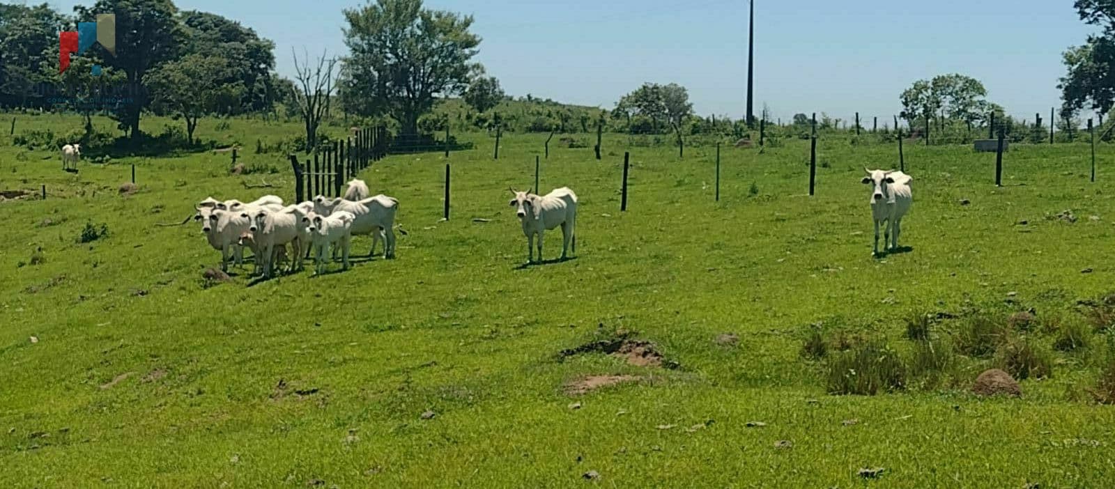 Fazenda/Sítios/Chácaras em Guareí - Centro