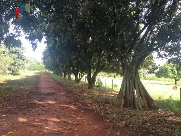 Fazenda/Sítios/Chácaras em Tatuí - Mirandas