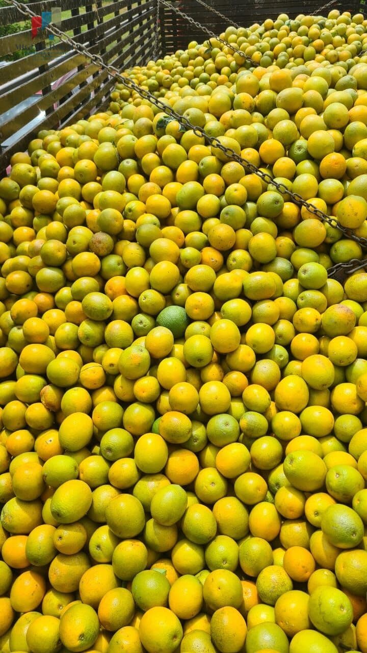 Fazenda região de Araraquara SP