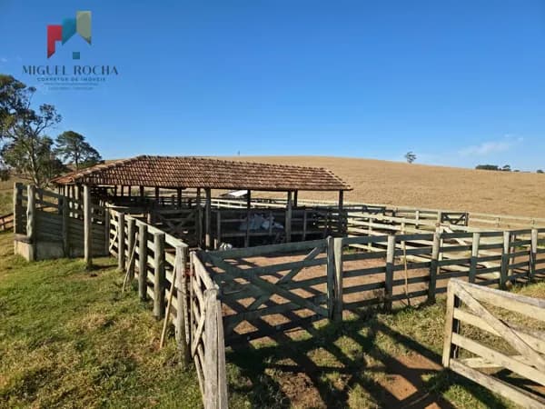Fazenda a venda Capão Bonito SP