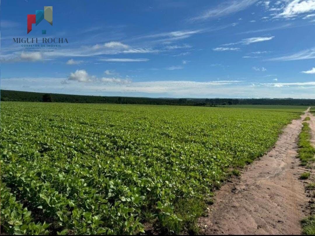 Fazenda região de Avaré SP