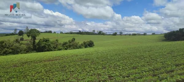 Sítio a venda em Itararé SP