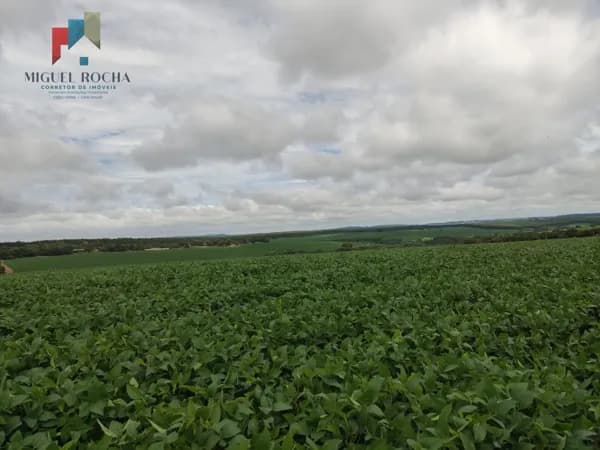 Fazenda região Itapetininga SP