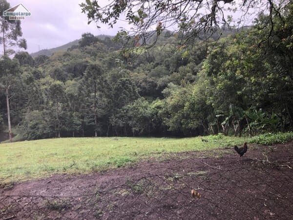 Chácara para Venda em Bateias Selecione uma cidade-PR
