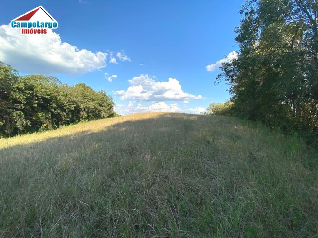 Fazenda/Sítios/Chácaras em Balsa Nova - Bugre