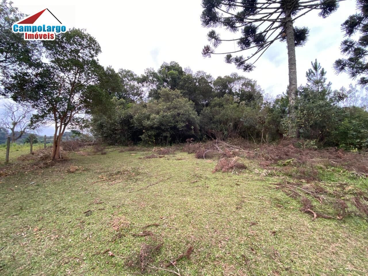Lote/Terreno em Campo Largo - Itaqui de Cima