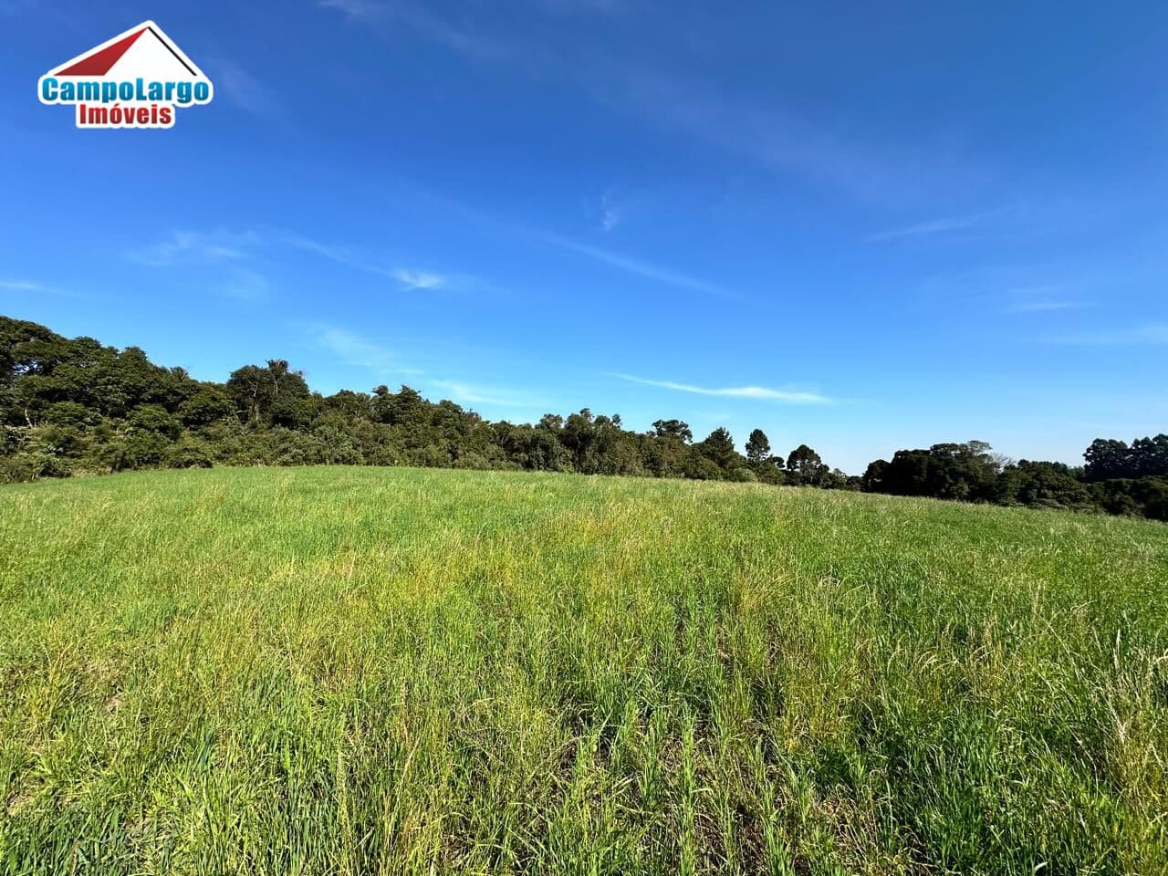 Lote/Terreno em Campo Largo - Campo do Meio